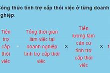 Cách Tính Trợ Cấp Thôi Việc Ở Nhật Là Gì