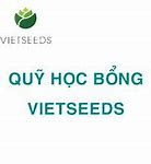 Học Bổng Vietseeds 2021 Là Gì Wikipedia Indonesia Video