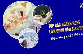 Ngành Y Học Cổ Truyền Thuộc Nhóm Ngành Nghề Nào Liên Quan Đến Sinh Học