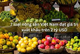 Sale Xuất Khẩu Nông Sản