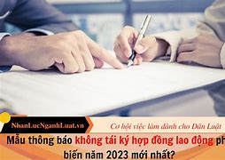 Tái Ký Hợp Đồng Là Gì