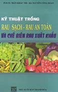 Trồng Rau Xuất Khẩu