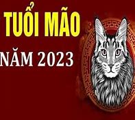 Xem Tử Vi Tuổi Mão 2023